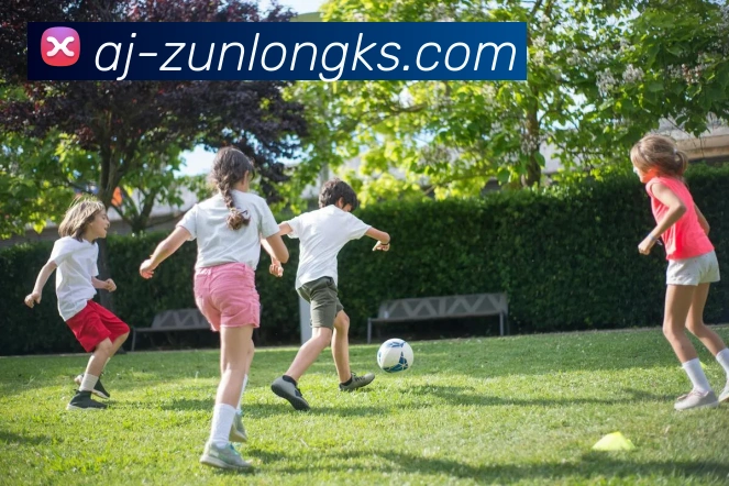 尊龙凯时官网服务体系